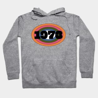 Year 1973 Rainbow Ellipse Vintage Typography Hoodie